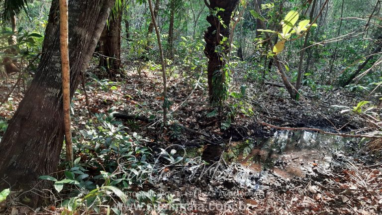 Linda Fazenda 47,68 alq  (230ha) em Minaçu/GO