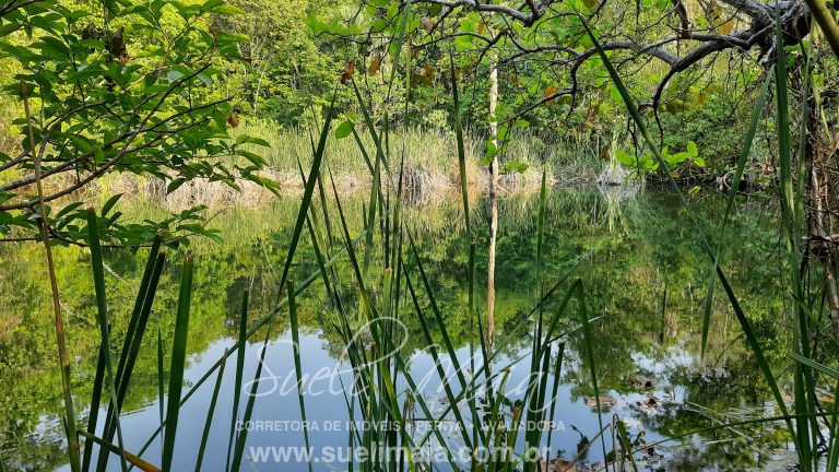 Linda Fazenda 47,68 alq  (230ha) em Minaçu/GO