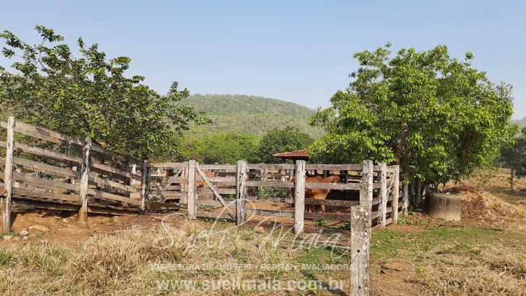 Linda Fazenda 47,68 alq  (230ha) em Minaçu/GO