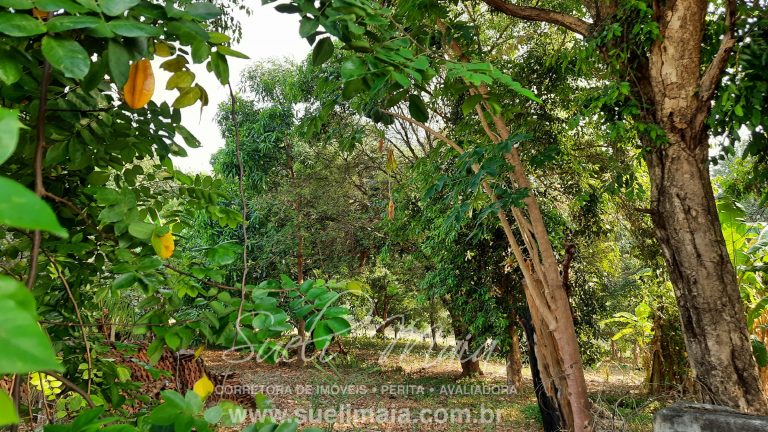 Linda Fazenda 47,68 alq  (230ha) em Minaçu/GO