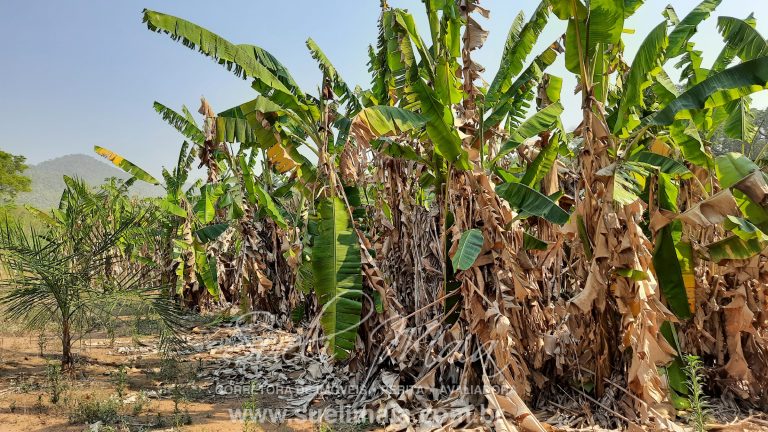Linda Fazenda 47,68 alq  (230ha) em Minaçu/GO