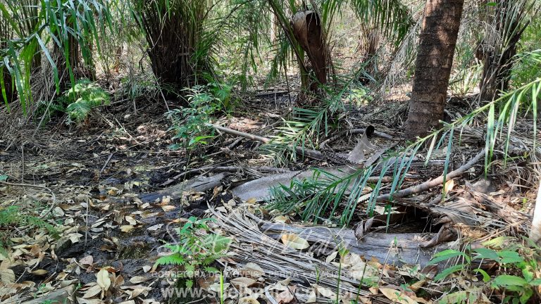Linda Fazenda 47,68 alq  (230ha) em Minaçu/GO