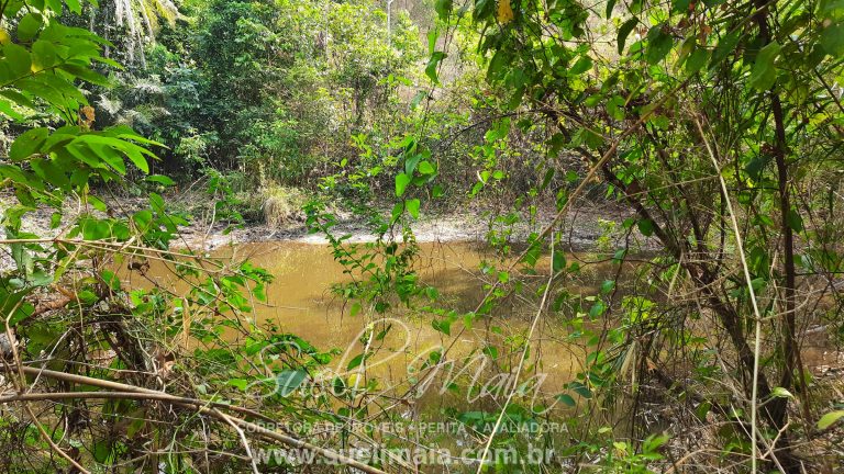 Linda Fazenda 47,68 alq  (230ha) em Minaçu/GO