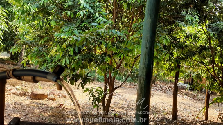 Linda Fazenda 47,68 alq  (230ha) em Minaçu/GO