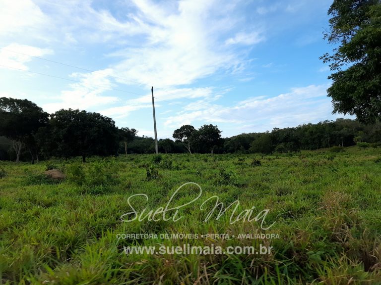 Linda Fazenda 47,68 alq  (230ha) em Minaçu/GO