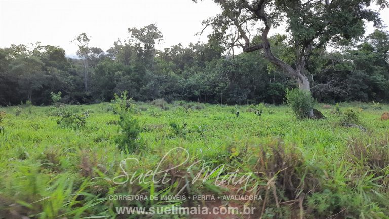 Linda Fazenda 47,68 alq  (230ha) em Minaçu/GO