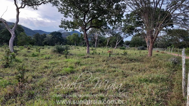 Linda Fazenda 47,68 alq  (230ha) em Minaçu/GO