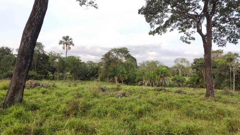 Linda Fazenda 47,68 alq  (230ha) em Minaçu/GO