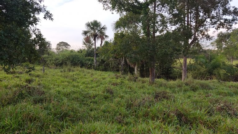 Linda Fazenda 47,68 alq  (230ha) em Minaçu/GO