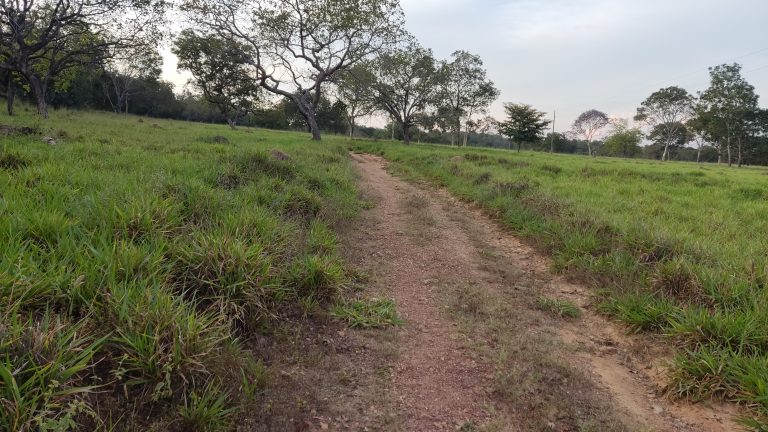 Linda Fazenda 47,68 alq  (230ha) em Minaçu/GO