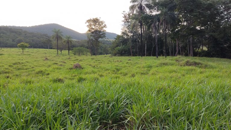 Linda Fazenda 47,68 alq  (230ha) em Minaçu/GO