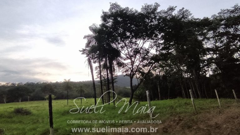 Linda Fazenda 47,68 alq  (230ha) em Minaçu/GO