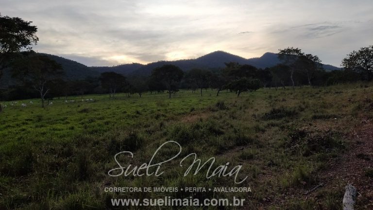 Linda Fazenda 47,68 alq  (230ha) em Minaçu/GO