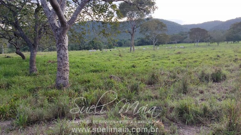 Linda Fazenda 47,68 alq  (230ha) em Minaçu/GO
