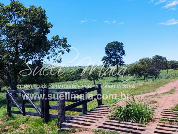 Fazenda de 12,95 alq (62,70ha) Dupla aptidão – Minaçu/GO