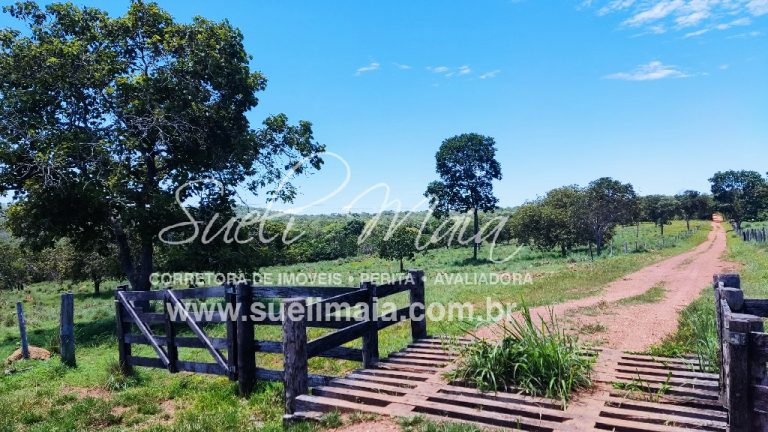 Fazenda de 12,95 alq (62,70ha) Dupla aptidão – Minaçu/GO