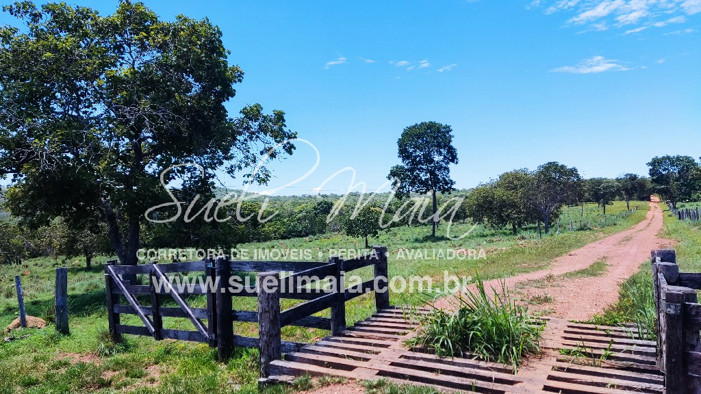 Fazenda de 12,95 alq (62,70ha) Dupla aptidão – Minaçu/GO