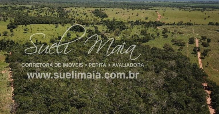 Fazenda de 12,95 alq (62,70ha) Dupla aptidão – Minaçu/GO