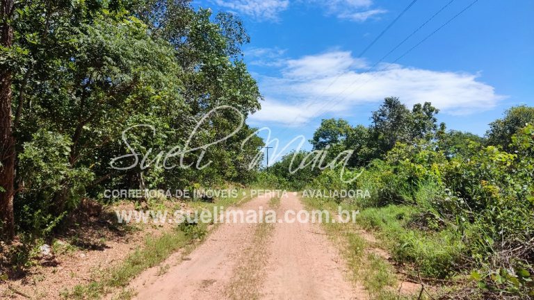 Fazenda de 12,95 alq (62,70ha) Dupla aptidão – Minaçu/GO