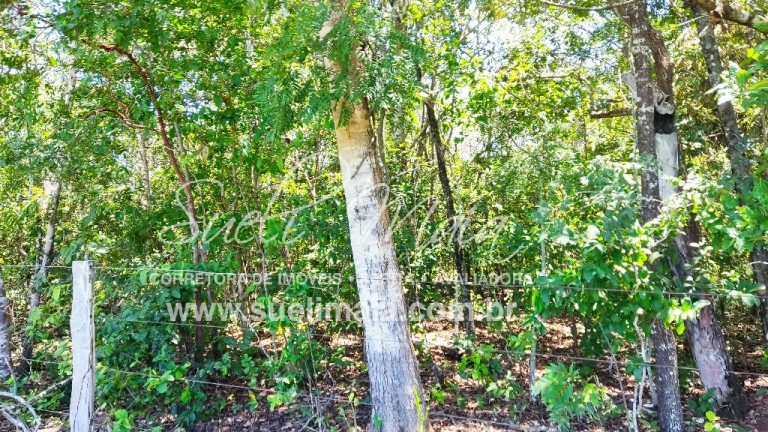 Fazenda de 12,95 alq (62,70ha) Dupla aptidão – Minaçu/GO