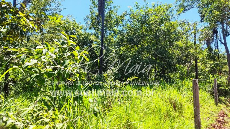 Fazenda de 12,95 alq (62,70ha) Dupla aptidão – Minaçu/GO