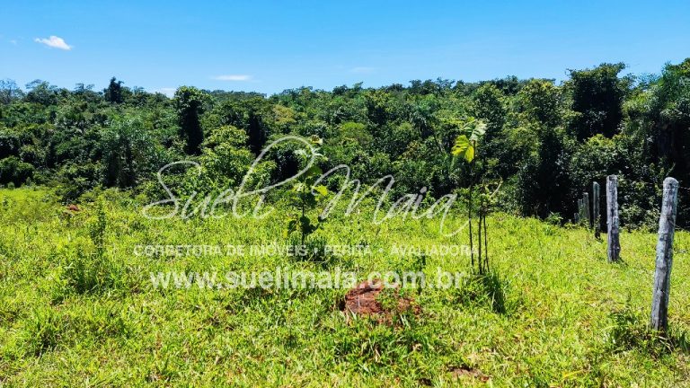 Fazenda de 12,95 alq (62,70ha) Dupla aptidão – Minaçu/GO