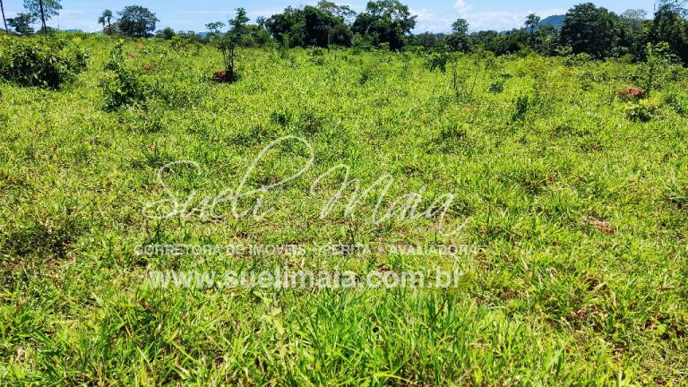 Fazenda de 12,95 alq (62,70ha) Dupla aptidão – Minaçu/GO