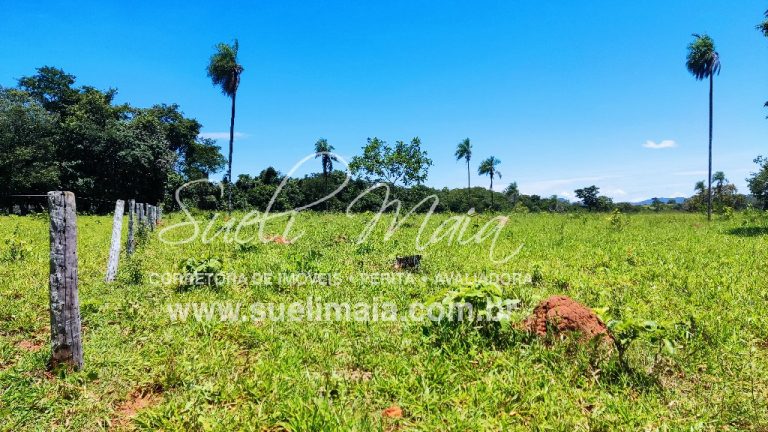Fazenda de 12,95 alq (62,70ha) Dupla aptidão – Minaçu/GO