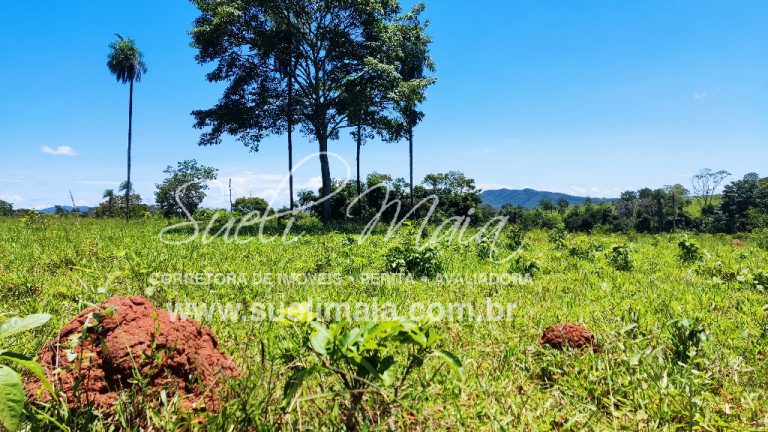 Fazenda de 12,95 alq (62,70ha) Dupla aptidão – Minaçu/GO
