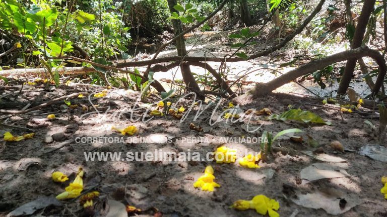 Fazenda de 12,95 alq (62,70ha) Dupla aptidão – Minaçu/GO