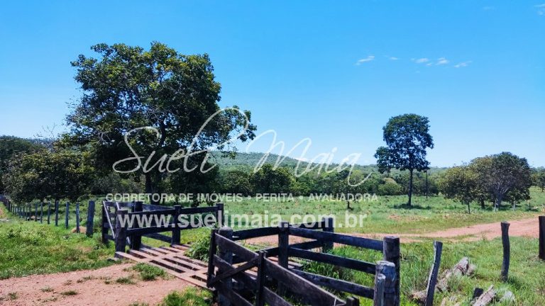 Fazenda de 12,95 alq (62,70ha) Dupla aptidão – Minaçu/GO