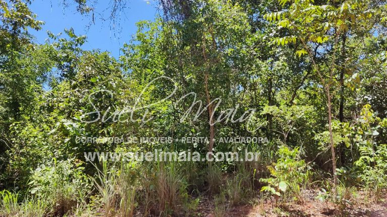 Fazenda de 12,95 alq (62,70ha) Dupla aptidão – Minaçu/GO