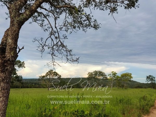 Fazendinha top de 24 alq (118 ha) – Minaçu/GO