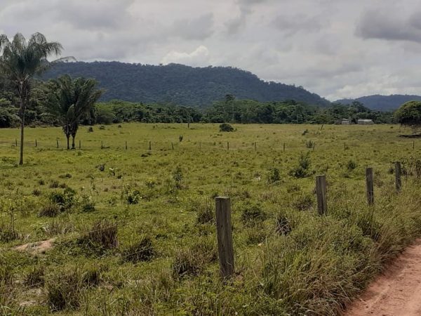 Fazenda 511 alq. p/ pecuária em São Félix do Xingu/PA