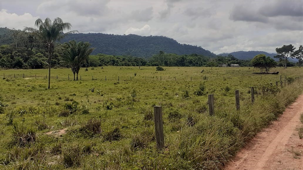Fazenda 511 alq. p/ pecuária em São Félix do Xingu/PA