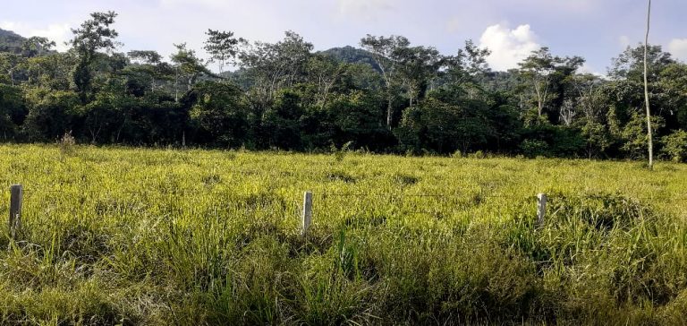 Fazenda 511 alq. p/ pecuária em São Félix do Xingu/PA