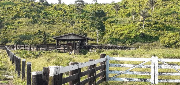 Fazenda 511 alq. p/ pecuária em São Félix do Xingu/PA