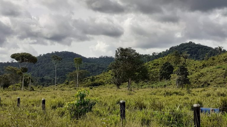 Fazenda 511 alq. p/ pecuária em São Félix do Xingu/PA