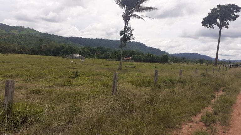 Fazenda 511 alq. p/ pecuária em São Félix do Xingu/PA