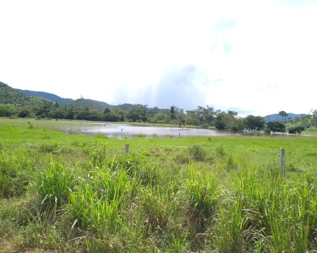 Fazenda 511 alq. p/ pecuária em São Félix do Xingu/PA