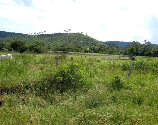 Fazenda 511 alq. p/ pecuária em São Félix do Xingu/PA