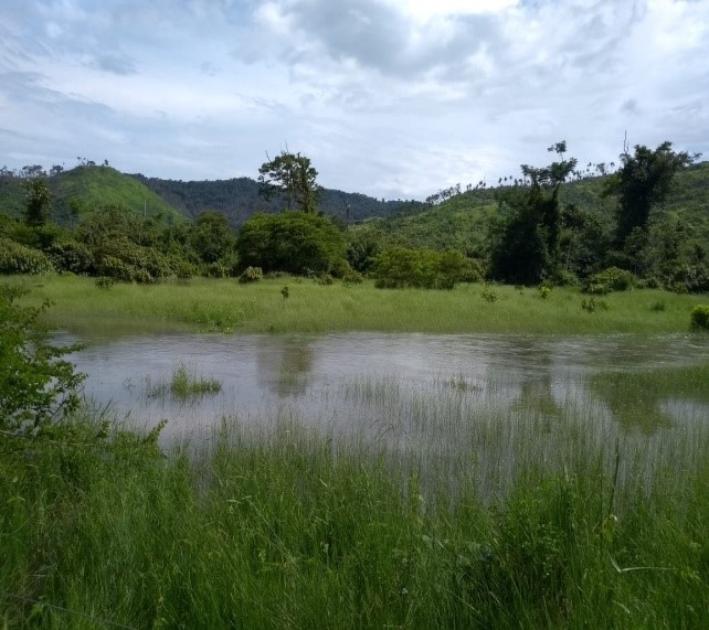 Fazenda 511 alq. p/ pecuária em São Félix do Xingu/PA