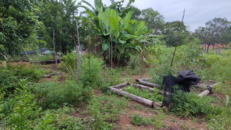 SÍTIO 15 ALQUEIRES C/ REPRESA – Pertinho da cidade