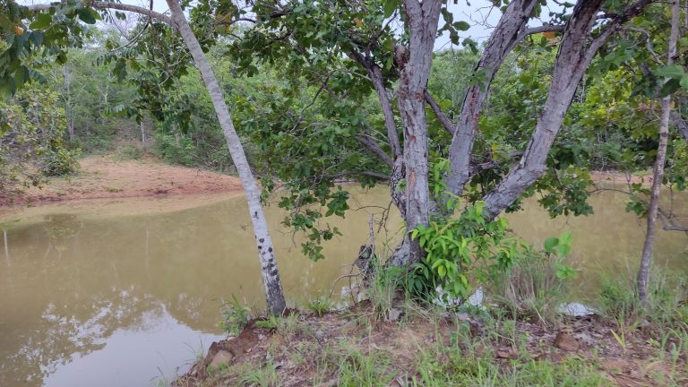 SÍTIO 15 ALQUEIRES C/ REPRESA – Pertinho da cidade