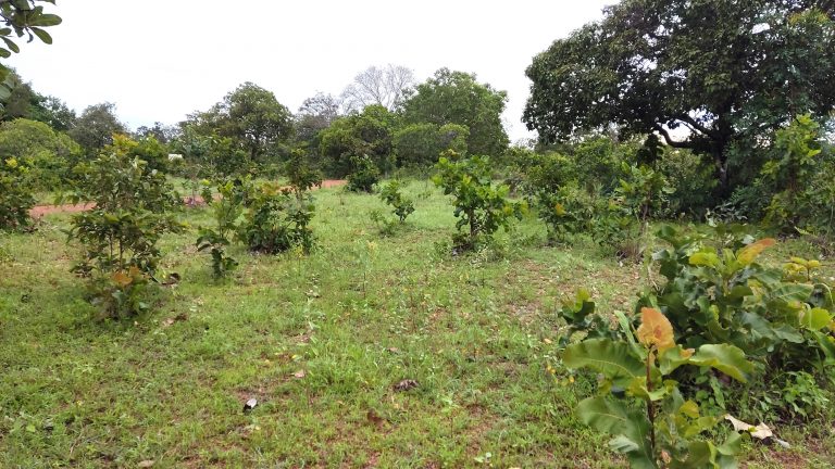 SÍTIO 15 ALQUEIRES C/ REPRESA – Pertinho da cidade