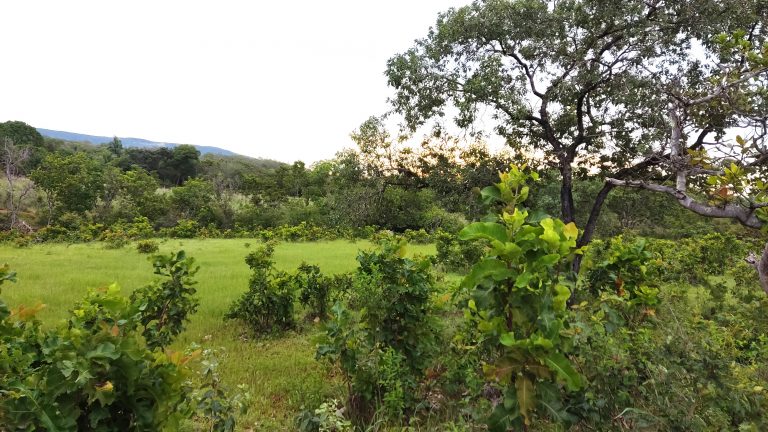 SÍTIO 15 ALQUEIRES C/ REPRESA – Pertinho da cidade