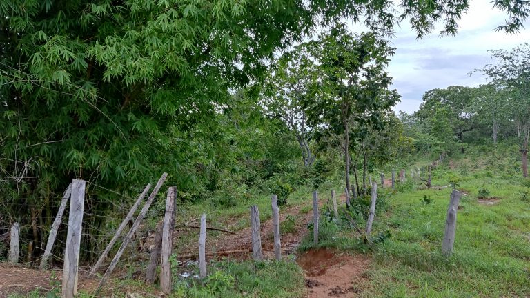 SÍTIO 15 ALQUEIRES C/ REPRESA – Pertinho da cidade