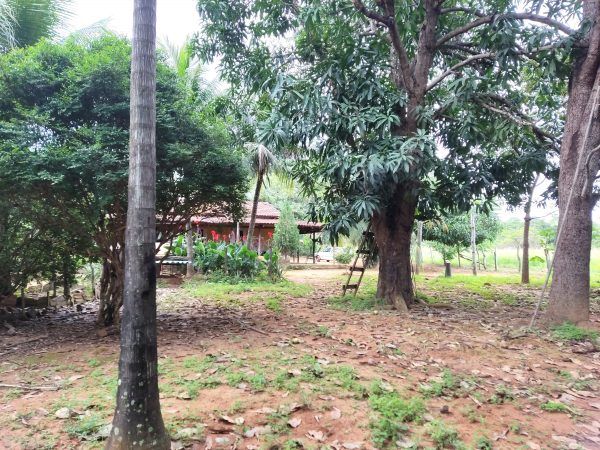 SÍTIO 15 ALQUEIRES C/ REPRESA – Pertinho da cidade