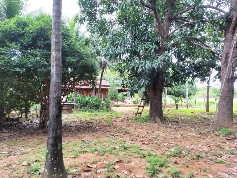 SÍTIO 15 ALQUEIRES C/ REPRESA – Pertinho da cidade