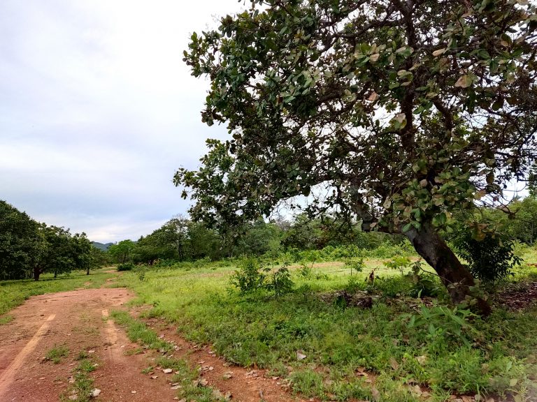 SÍTIO 15 ALQUEIRES C/ REPRESA – Pertinho da cidade